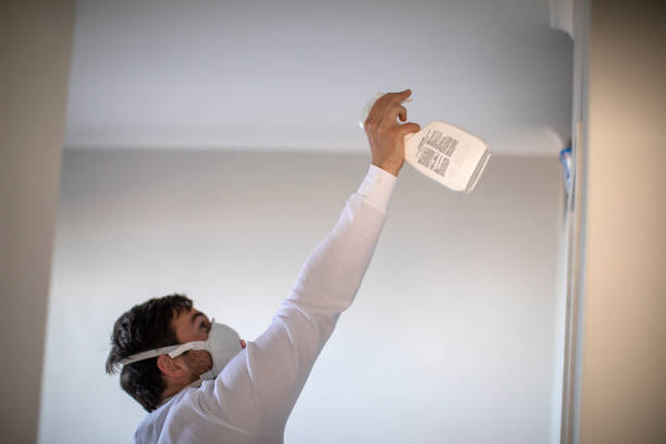 Best Water Damage Restoration  in Eagleville, PA