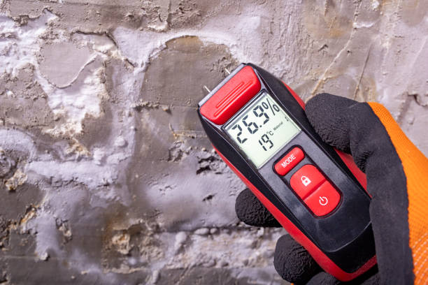 Best Water Damage Restoration  in Eagleville, PA