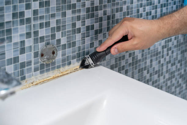 Best Mold Damage Repair  in Eagleville, PA