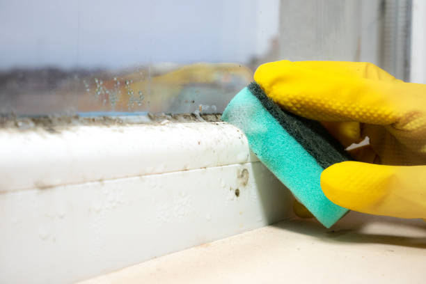 Best Mold Cleaning Services  in Eagleville, PA