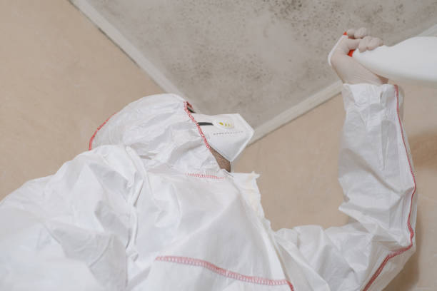Best Residential Mold Removal  in Eagleville, PA