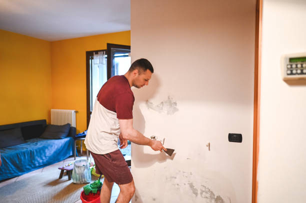 Best Emergency Mold Removal  in Eagleville, PA