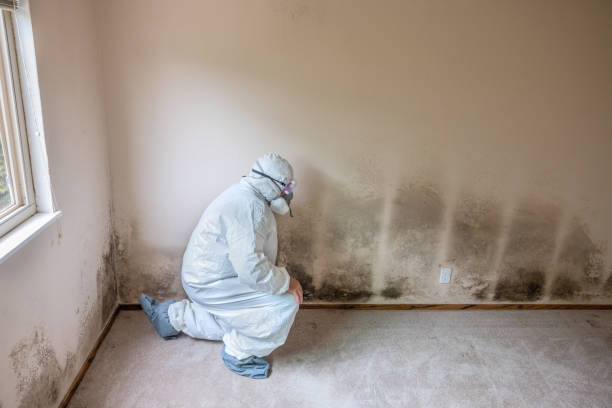 Water Damage Restoration in Eagleville, PA
